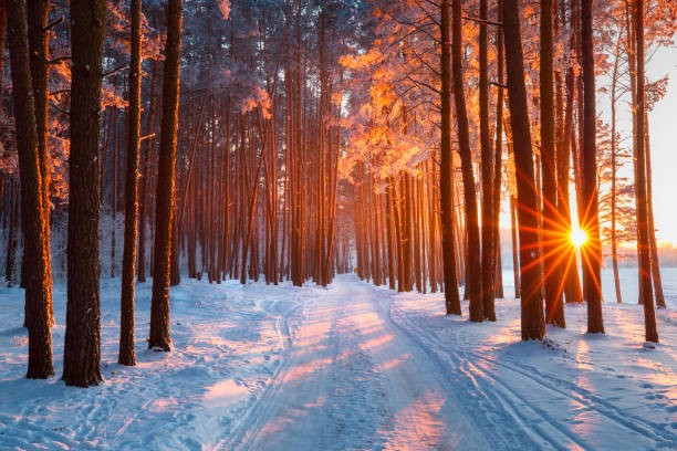 istockphoto-1063851048-612x612 istockphoto-1063851048-612x612