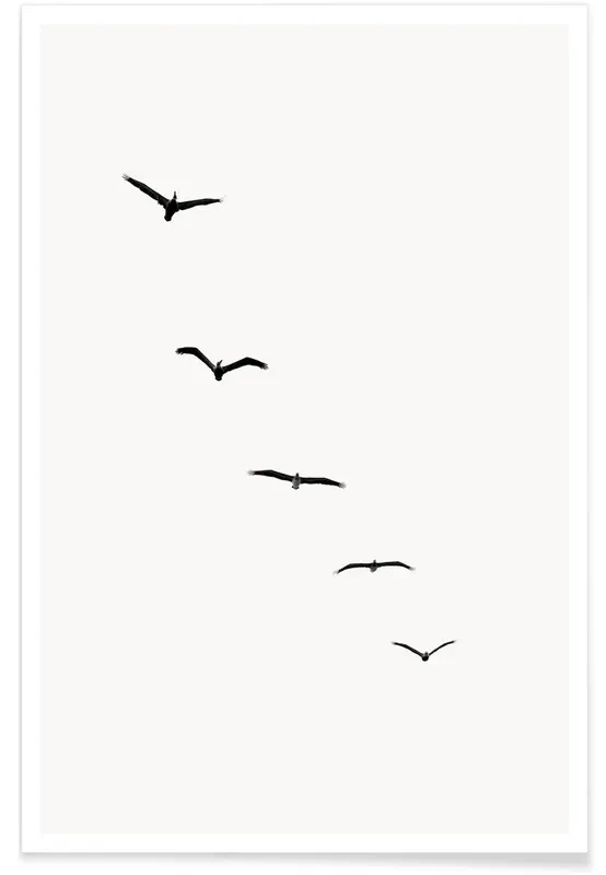 vogels vogels